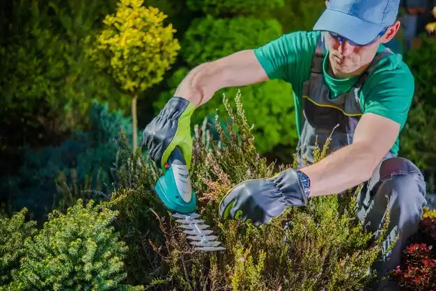 landscaping services Harahan